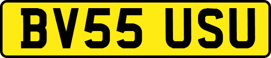 BV55USU