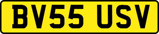 BV55USV