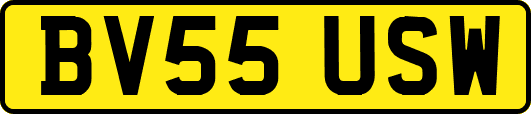 BV55USW