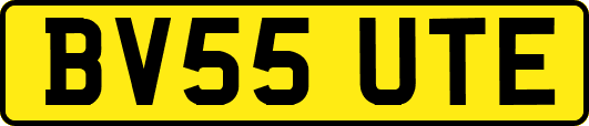 BV55UTE