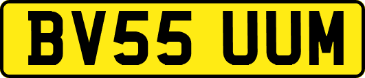 BV55UUM