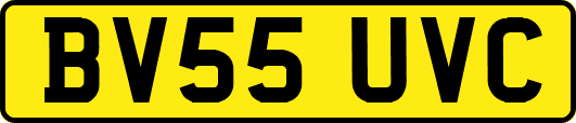 BV55UVC