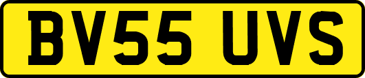 BV55UVS