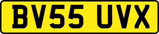 BV55UVX