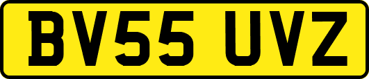 BV55UVZ