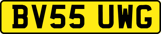BV55UWG