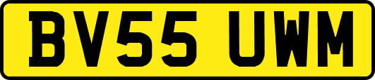 BV55UWM