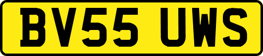 BV55UWS