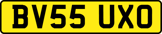 BV55UXO