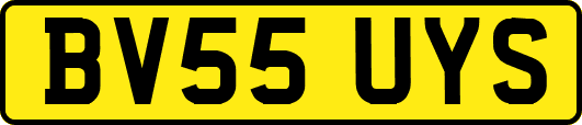 BV55UYS