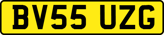 BV55UZG