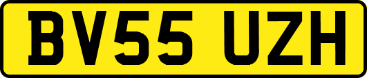 BV55UZH