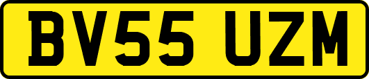 BV55UZM