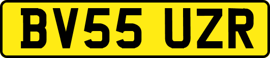 BV55UZR