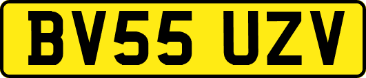 BV55UZV