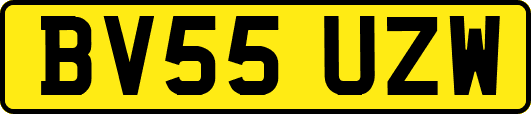 BV55UZW