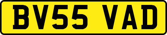 BV55VAD