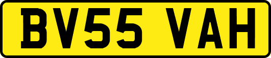 BV55VAH
