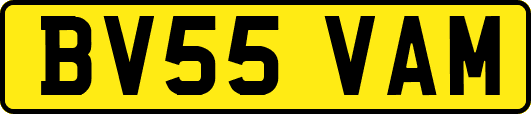 BV55VAM