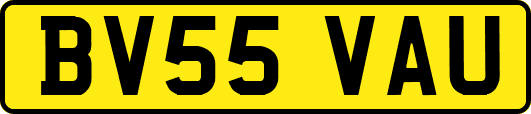 BV55VAU