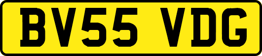 BV55VDG