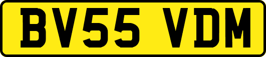 BV55VDM