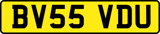 BV55VDU