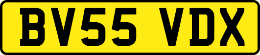 BV55VDX