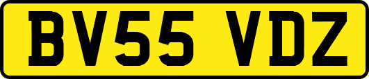 BV55VDZ