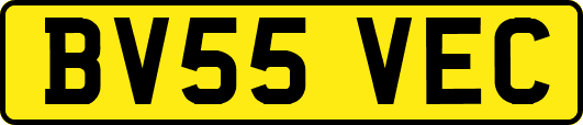 BV55VEC