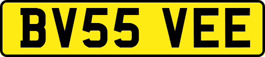 BV55VEE