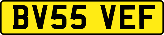 BV55VEF