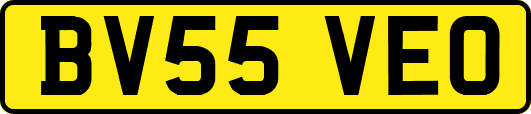 BV55VEO