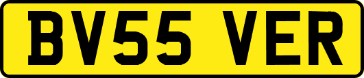 BV55VER