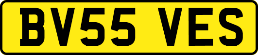 BV55VES