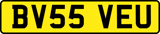 BV55VEU