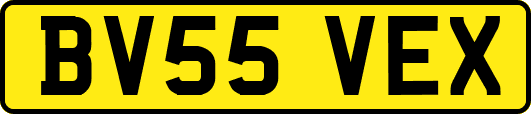 BV55VEX