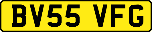 BV55VFG