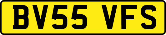 BV55VFS