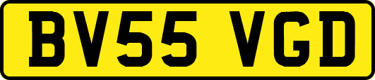 BV55VGD