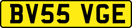 BV55VGE