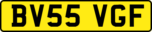 BV55VGF