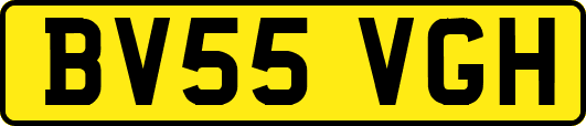 BV55VGH