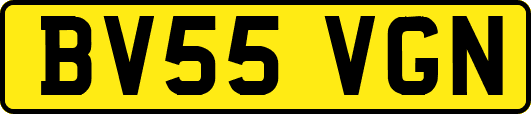 BV55VGN