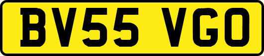 BV55VGO