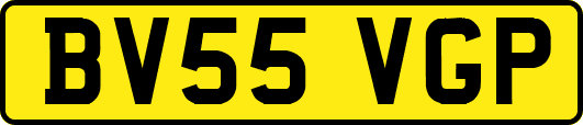 BV55VGP