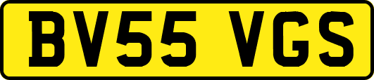 BV55VGS