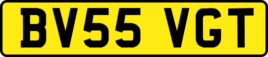 BV55VGT