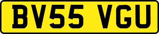 BV55VGU