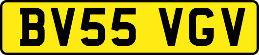 BV55VGV